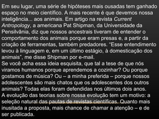 Em seu lugar, uma série de hipóteses mais ousadas tem ganhado
espaço no meio científico. A mais recente é que devemos nossa
inteligência... aos animais. Em artigo na revista Current
Antropology, a americana Pat Shipman, da Universidade da
Pensilvânia, diz que nossos ancestrais tiveram de entender o
comportamento dos animais porque eram presas e, a partir da
criação de ferramentas, também predadores. “Esse entendimento
levou à linguagem e, em um último estágio, à domesticação dos
animais”, me disse Shipman por e-mail.
Se você acha essa ideia esquisita, que tal a tese de que nós
viramos humanos porque aprendemos a cozinhar? Ou porque
gostamos de música? Ou – a minha preferida – porque nossos
adolescentes são mais chatos que os adolescentes dos outros
animais? Todas elas foram defendidas nos últimos dois anos.
A evolução das teorias sobre nossa evolução tem um motivo: a
seleção natural das pautas de revistas científicas. Quanto mais
inusitada a proposta, mais chance de chamar a atenção – e de
ser publicada.
 