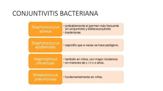 CONJUNTIVITIS BACTERIANA
 