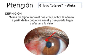 Pterigión
DEFINICION
“Masa de tejido anormal que crece sobre la córnea
a partir de la conjuntiva nasal y que puede llegar
a afectar a la visión”
Griego “pteros” = Aleta
 