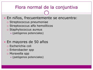 Flora normal de la conjuntivaEn niños, frecuentemente se encuentra:StreptococcuspneumoniaeStreptococcus alfa hemolíticosStaphylococcusaureus(patógenos potenciales)En mayores de 50 añosEscherichiacoliEnterobactersppMoraxellaspp(patógenos potenciales)
