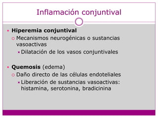 Inflamación conjuntivalHiperemiaconjuntivalMecanismosneurogénicas o sustanciasvasoactivasDilatación de los vasosconjuntivalesQuemosis (edema)Dañodirecto de lascélulasendotelialesLiberación de sustanciasvasoactivas: histamina, serotonina, bradicinina