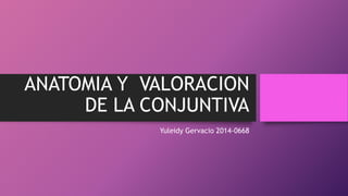 ANATOMIA Y VALORACION
DE LA CONJUNTIVA
Yuleidy Gervacio 2014-0668
 