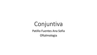Conjuntiva
Patiño Fuentes Ana Sofia
Oftalmologia
 