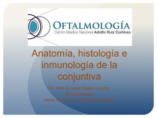 Anatomía, histología e
inmunología de la
conjuntiva
Dr. Alan de Jesús Gaytán Lorenzo
R2 Oftalmología
UMAE 189 C.M.N. “Adolfo Ruiz Cortines”
 