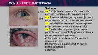 CONJUNTIVITE BACTERIANA
੦ menor prevalencia que la viral
੦ mas rara en adultos
੦ transmisión: igual que la viral
Agente etiológico:
੦ H. influenzae
੦ S. pneumoniae
੦ S.aureus(adultos)
੦ M. catarrhalis
੦ N. gonorrhoeae
੦ C. trachomatis
Síntomas
○ - Enrojecimiento, sensación de arenilla,
escozor y secreción de comienzo agudo.
○ - Suele ser bilateral, aunque un ojo puede
verse afectado 1 o 2 días antes que el otro.
○ - Los párpados a menudo están pegados
al despertarse y cuesta trabajo abrirlos.
○ - Puede haber síntomas generales en
pacientes con conjuntivitis grave asociada a
gonococos, meningococos,
Chlamydia y H. influenzae. En los niños
siempre hay que
tener presente la posibilidad de que el
cuadro progrese a
sistémico.
 