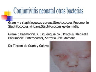 Conjuntivitis neonatal otras bacterias Gram + : staphilococcus aureus,Streptococcus Pneumonie Staphilococcus viridans,Staphilococcus epidermidis. Gram- : Haemophilus, Esqueriquia coli. Proteus, Klebsiella  Pneumonie, Enterobacter, Serratia ,Pseudomona. Dx Tincion de Gram y Cultivo 