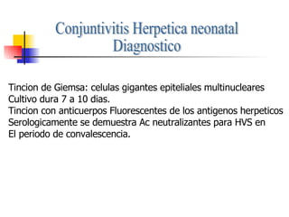 Conjuntivitis Herpetica neonatal Diagnostico Tincion de Giemsa: celulas gigantes epiteliales multinucleares Cultivo dura 7 a 10 dias. Tincion con anticuerpos Fluorescentes de los antigenos herpeticos Serologicamente se demuestra Ac neutralizantes para HVS en El periodo de convalescencia. 