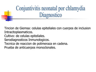 Conjuntivitis neonatal por chlamydia Diagnostico Tincion de Giemsa: celulas epiteliales con cuerpos de inclusion Intracitoplasmaticos. Cultivo: de celulas epiteliales. Serodiagnosticos Inmunologicos. Tecnica de reaccion de polimeraza en cadena. Prueba de anticuerpos monoclonales. 
