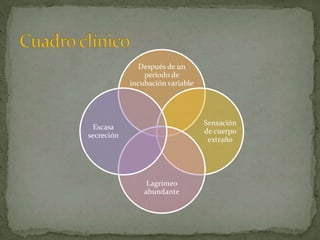 Después de un
periodo de
incubación variable
Sensación
de cuerpo
extraño
Lagrimeo
abundante
Escasa
secreción
 