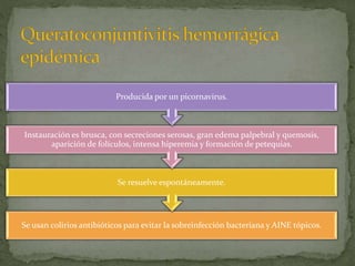 Se usan colirios antibióticos para evitar la sobreinfección bacteriana y AINE tópicos.
Se resuelve espontáneamente.
Instauración es brusca, con secreciones serosas, gran edema palpebral y quemosis,
aparición de folículos, intensa hiperemia y formación de petequias.
Producida por un picornavirus.
 