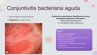 Conjuntivitis bacteriana aguda
• Autolimitada, contacto directo
• Diagnóstico: cuadro clínico
Síntomas
•Ojo rojo, sensación arenilla, escozor
•Secreción de inicio agudo
•Bilateral
•Parpados pegados al despertar
•Síntomas generales: gonococo, meningococo,
clamidia y H. influenzae
•*Niños: posibilidad de progresión sistémica
Signos
•Edema y eritema palpebral
•Congestión conjuntival
•Secreción acuosa, rápidamente mucopurulenta
•Gonococo Y meningococo
•S. purulenta hiperaguda:
•Ulceración corneal periférica  perforación
•Adenopatias
•Erosiones epiteliales punteadas corneales
Streptococcus pneumoniae, Staphylococcus aureus,
Haemophilus influenzae y Moraxella C.
Neisseria gonorroeae: grave
N. meningitidis: niños, infrecuente.
 