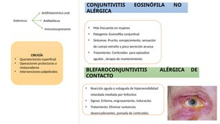 Sistémicos
Antihistamínico oral
Antibióticos
Inmunosupresores
CIRUGÍA
• Queratectomía superficial
• Operaciones protectoras o
restauradoras
• Intervenciones palpebrales
CONJUNTIVITIS EOSINÓFILA NO
ALÉRGICA
• Más frecuente en mujeres
• Patogenia: Eosinofilia conjuntival
• Síntomas: Prurito, enrojecimiento, sensación
de cuerpo extraño y poca secreción acuosa
• Tratamiento: Corticoides para episodios
agudos , terapia de mantenimiento
BLEFAROCONJUNTIVITIS ALÉRGICA DE
CONTACTO
• Reacción aguda o subaguda de hipersensibilidad
retardada mediada por linfocitos
• Signos: Eritema, engrosamiento, induración
• Tratamiento: Eliminar sustancias
desencadenantes, pomada de corticoides
 