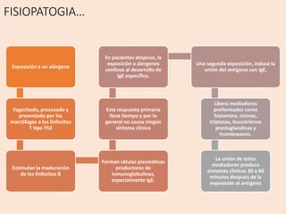 FISIOPATOGIA…
Exposición a un alérgeno
Fagocitado, procesado y
presentado por los
macrófagos a los linfocitos
T tipo Th2
Estimulan la maduración
de los linfocitos B
Forman células plasmáticas
productoras de
inmunoglobulinas,
especialmente IgE.
Esta respuesta primaria
lleva tiempo y por lo
general no causa ningún
síntoma clínico
En pacientes atópicos, la
exposición a alergenos
conlleva al desarrollo de
IgE específica.
Una segunda exposición, induce la
unión del antígeno con IgE,
Libera mediadores
preformados como
histamina, cininas,
triptasas, leucotrienos
prostaglandinas y
tromboxanos.
La unión de estos
mediadores produce
síntomas clínicos 30 a 60
minutos después de la
exposición al antígeno
 