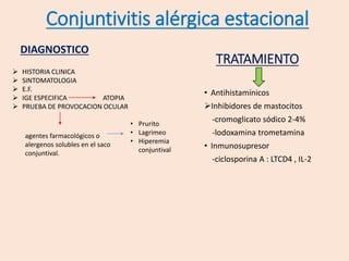 TRATAMIENTO
• Antihistamínicos
Inhibidores de mastocitos
-cromoglicato sódico 2-4%
-lodoxamina trometamina
• Inmunosupresor
-ciclosporina A : LTCD4 , IL-2
DIAGNOSTICO
 HISTORIA CLINICA
 SINTOMATOLOGIA
 E.F.
 IGE ESPECIFICA ATOPIA
 PRUEBA DE PROVOCACION OCULAR
agentes farmacológicos o
alergenos solubles en el saco
conjuntival.
• Prurito
• Lagrimeo
• Hiperemia
conjuntival
Conjuntivitis alérgica estacional
 