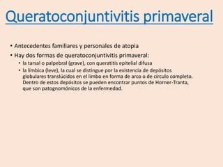 • Antecedentes familiares y personales de atopia
• Hay dos formas de queratoconjuntivitis primaveral:
• la tarsal o palpebral (grave), con queratitis epitelial difusa
• la límbica (leve), la cual se distingue por la existencia de depósitos
globulares translúcidos en el limbo en forma de arco o de círculo completo.
Dentro de estos depósitos se pueden encontrar puntos de Horner-Tranta,
que son patognomónicos de la enfermedad.
Queratoconjuntivitis primaveral
 