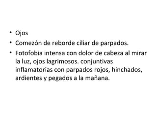 Ojos Comezón de reborde ciliar de parpados. Fotofobia intensa con dolor de cabeza al mirar la luz, ojos lagrimosos. conjuntivas inflamatorias con parpados rojos, hinchados, ardientes y pegados a la mañana. 