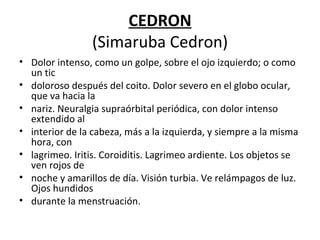 CEDRON (Simaruba Cedron) Dolor intenso, como un golpe, sobre el ojo izquierdo; o como un tic doloroso después del coito. Dolor severo en el globo ocular, que va hacia la nariz. Neuralgia supraórbital periódica, con dolor intenso extendido al interior de la cabeza, más a la izquierda, y siempre a la misma hora, con lagrimeo. Iritis. Coroiditis. Lagrimeo ardiente. Los objetos se ven rojos de noche y amarillos de día. Visión turbia. Ve relámpagos de luz. Ojos hundidos durante la menstruación. 
