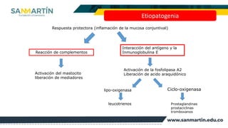 Etiopatogenia
Respuesta protectora (inflamación de la mucosa conjuntival)
Reacción de complementos
Interacción del antígen...