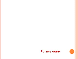 Pedra rústica – usadas no rock garden;