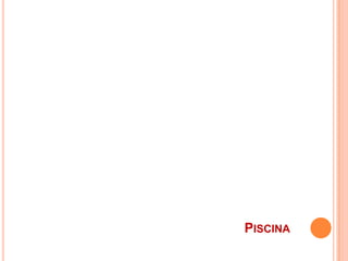 Porta de acesso com 2,00x1,00m, executada em tubo metalizado, com rede plastificada, provida de fechadura, com chave tipo Yale