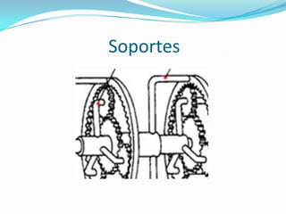Soportes
 