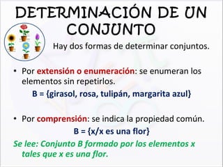 DETERMINACIÓN DE UN CONJUNTO Hay dos formas de determinar conjuntos. Por  extensión o enumeración : se enumeran los elementos sin repetirlos. B = {girasol, rosa, tulipán, margarita azul} Por  comprensión : se indica la propiedad común. B = {x/x es una flor} Se lee: Conjunto B formado por los elementos x tales que x es una flor. B 