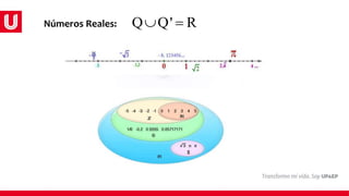 Q Q' R
 
Números Reales:
 