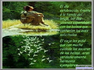 El día
establecido, frente
a la tienda del
brujo, los dos
jóvenes esperaban
con las bolsas que
contenían las aves
solicitadas.

El viejo les pidió
que con mucho
cuidado las sacaran
de las bolsas...eran
verdaderamente
hermosos
ejemplares...

 