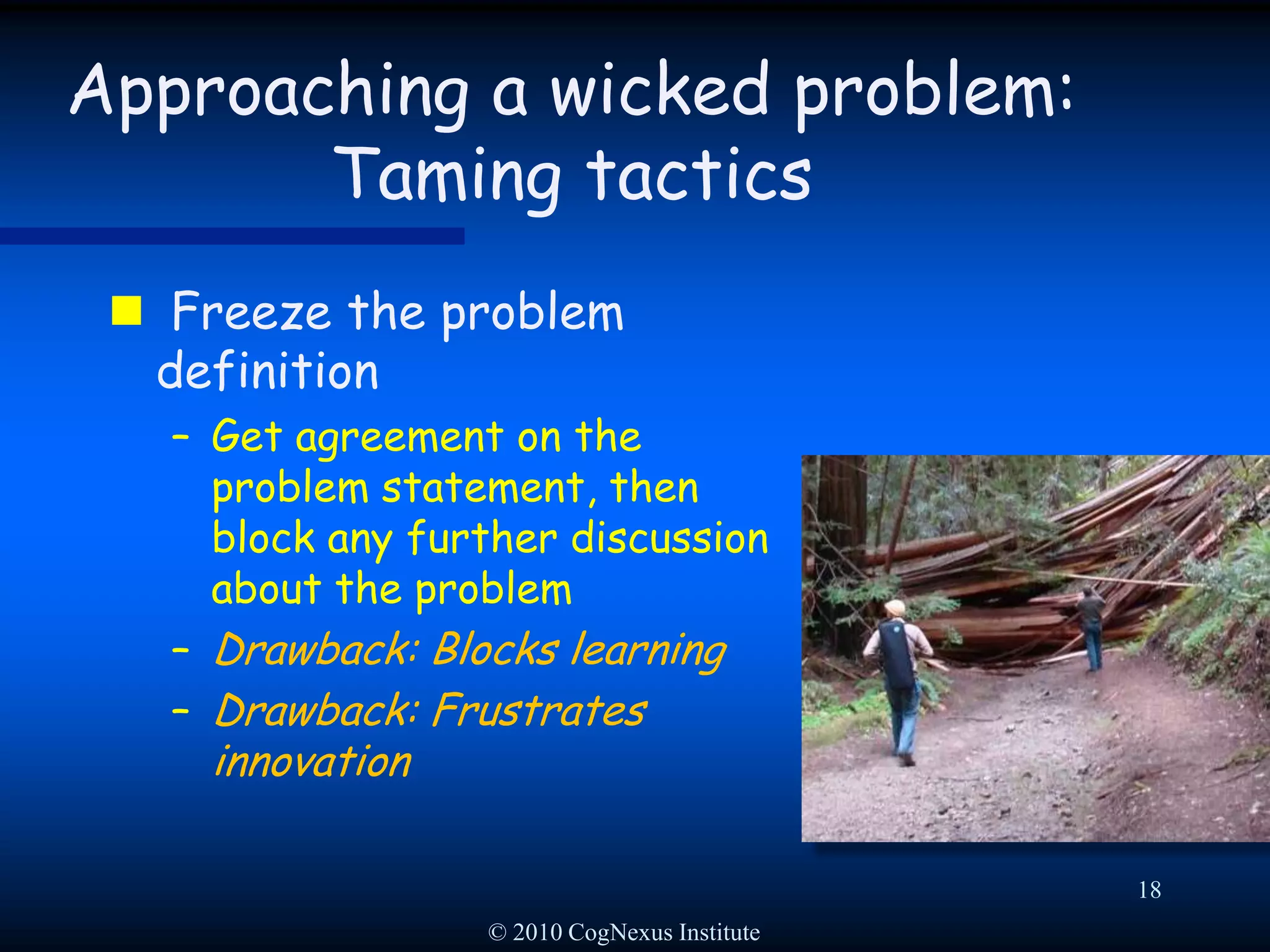 © 2010 CogNexus Institute15Approaching a wicked problem: Evasion tactics“It’s not really a problem.”(Denial)