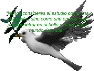 “Nunca consideres el estudio como una
obligación, sino como una oportunidad
para penetrar en el bello y maravilloso
mundo del saber”
 