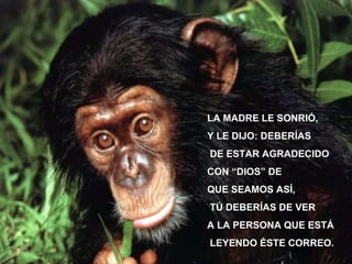 LA MADRE LE SONRIÓ, Y LE DIJO: DEBERÍAS DE ESTAR AGRADECIDO CON “DIOS” DE QUE SEAMOS ASÍ, TÚ DEBERÍAS DE VER A LA PERSONA QUE ESTÁ LEYENDO ÉSTE CORREO.