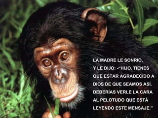 LA MADRE LE SONRIÓ,  Y LE DIJO: -“HIJO, TIENES  QUE ESTAR AGRADECIDO A DIOS DE QUE SEAMOS ASÍ. DEBERÍAS VERLE LA CARA AL PELOTUDO QUE ESTÁ  LEYENDO ESTE MENSAJE.” 