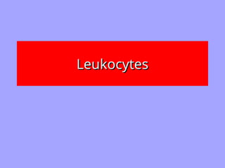 Leukocytes
Leukocytes
 