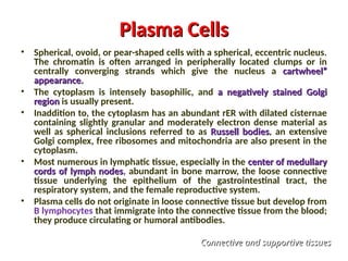 Plasma Cells
Plasma Cells
• Spherical, ovoid, or pear-shaped cells with a spherical, eccentric nucleus.
The chromatin is often arranged in peripherally located clumps or in
centrally converging strands which give the nucleus a cartwheel”
cartwheel”
appearance.
appearance.
• The cytoplasm is intensely basophilic, and a negatively stained Golgi
a negatively stained Golgi
region
region is usually present.
• Inaddition to, the cytoplasm has an abundant rER with dilated cisternae
containing slightly granular and moderately electron dense material as
well as spherical inclusions referred to as Russell bodies
Russell bodies, an extensive
Golgi complex, free ribosomes and mitochondria are also present in the
cytoplasm.
• Most numerous in lymphatic tissue, especially in the center of medullary
center of medullary
cords of lymph nodes
cords of lymph nodes, abundant in bone marrow, the loose connective
tissue underlying the epithelium of the gastrointestinal tract, the
respiratory system, and the female reproductive system.
• Plasma cells do not originate in loose connective tissue but develop from
B lymphocytes that immigrate into the connective tissue from the blood;
they produce circulating or humoral antibodies.
Connective and supportive tissues
Connective and supportive tissues
 