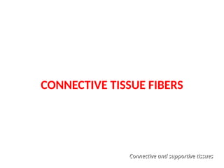 CONNECTIVE TISSUE FIBERS
Connective and supportive tissues
Connective and supportive tissues
 