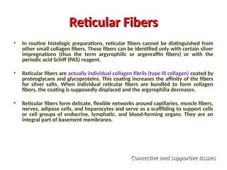 Reticular Fibers
Reticular Fibers
• In routine histologic preparations, reticular fibers cannot be distinguished from
other small collagen fibers, These fibers can be identified only with certain silver
impregnations (thus the term argyrophilic or argenraffin fibers) or with the
periodic acid Schiff (PAS) reagent.
• Reticular fibers are actually individual collagen fibrils (type Ill collagen) coated by
proteoglycans and glycoproteins. This coating increases the affinity of the fibers
for silver salts. When individual reticular fibers are bundled to form collagen
fibers, the coating is supposedly displaced and the argyrophilia decreases.
• Reticular fibers form delicate, flexible networks around capillaries, muscle fibers,
nerves, adipose cells, and heparocytes and serve as a scaffllding to support cells
or cell groups of endocrine, lymphatic, and blood-forming organs. They are an
integral part of basement membranes.
Connective and supportive tissues
Connective and supportive tissues
 