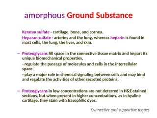 amorphous Ground Substance
Keratan sulfate - cartilage, bone, and cornea.
Heparan sulfate - arteries and the lung, whereas heparin is found in
mast cells, the lung, the liver, and skin.
– Proteoglycans fill space in the connective tissue matrix and impart its
unique biomechanical properties,
- regulate the passage of molecules and cells in the intercellular
space,
- play a major role in chemical signaling between cells and may bind
and regulate the activities of other secreted proteins.
– Proteoglycans in low concentrations are not deterred in H&E-stained
sections, but when present in higher concentrations, as in hyaline
cartilage, they stain with basophilic dyes.
Connective and supportive tissues
Connective and supportive tissues
 