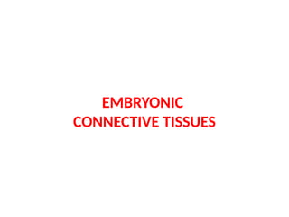 EMBRYONIC
CONNECTIVE TISSUES
 