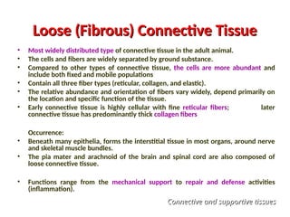 Loose (Fibrous) Connective Tissue
Loose (Fibrous) Connective Tissue
• Most widely distributed type of connective tissue in the adult animal.
• The cells and fibers are widely separated by ground substance.
• Compared to other types of connective tissue, the cells are more abundant and
include both fixed and mobile populations
• Contain all three fiber types (reticular, collagen, and elastic).
• The relative abundance and orientation of fibers vary widely, depend primarily on
the location and specific function of the tissue.
• Early connective tissue is highly cellular with fine reticular fibers; later
connective tissue has predominantly thick collagen fibers
Occurrence:
• Beneath many epithelia, forms the interstitial tissue in most organs, around nerve
and skeletal muscle bundles.
• The pia mater and arachnoid of the brain and spinal cord are also composed of
loose connective tissue.
• Functions range from the mechanical support to repair and defense activities
(inflammation).
Connective and supportive tissues
Connective and supportive tissues
 