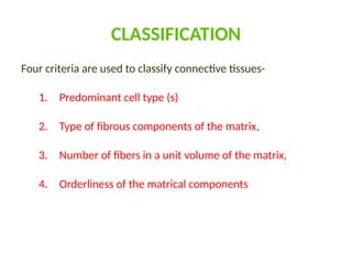 CLASSIFICATION
Four criteria are used to classify connective tissues-
1. Predominant cell type (s)
2. Type of fibrous components of the matrix,
3. Number of fibers in a unit volume of the matrix,
4. Orderliness of the matrical components
 