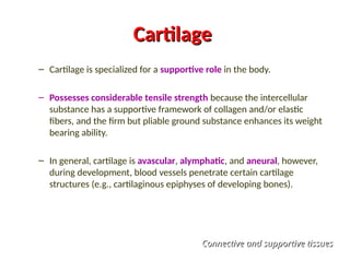 Cartilage
Cartilage
– Cartilage is specialized for a supportive role in the body.
– Possesses considerable tensile strength because the intercellular
substance has a supportive framework of collagen and/or elastic
fibers, and the firm but pliable ground substance enhances its weight
bearing ability.
– In general, cartilage is avascular, alymphatic, and aneural, however,
during development, blood vessels penetrate certain cartilage
structures (e.g., cartilaginous epiphyses of developing bones).
Connective and supportive tissues
Connective and supportive tissues
 