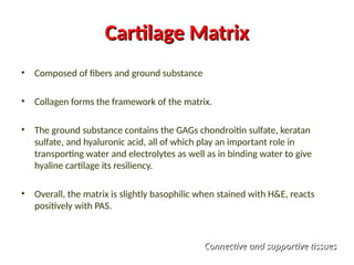 Cartilage Matrix
Cartilage Matrix
• Composed of fibers and ground substance
• Collagen forms the framework of the matrix.
• The ground substance contains the GAGs chondroitin sulfate, keratan
sulfate, and hyaluronic acid, all of which play an important role in
transporting water and electrolytes as well as in binding water to give
hyaline cartilage its resiliency.
• Overall, the matrix is slightly basophilic when stained with H&E, reacts
positively with PAS.
Connective and supportive tissues
Connective and supportive tissues
 