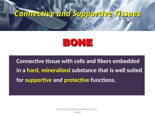 BONE
BONE
Connective tissue with cells and fibers embedded
in a hard, mineralized substance that is well suited
for supportive and protective functions.
Connective and supportive tissue -
Bone
Connective and Supportive Tissues
Connective and Supportive Tissues
 