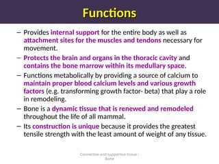 Functions
Functions
– Provides internal support for the entire body as well as
attachment sites for the muscles and tendons necessary for
movement.
– Protects the brain and organs in the thoracic cavity and
contains the bone marrow within its medullary space.
– Functions metabolically by providing a source of calcium to
maintain proper blood calcium levels and various growth
factors (e.g. transforming growth factor- beta) that play a role
in remodeling.
– Bone is a dynamic tissue that is renewed and remodeled
throughout the life of all mammal.
– Its construction is unique because it provides the greatest
tensile strength with the least amount of weight of any tissue.
Connective and supportive tissue -
Bone
 