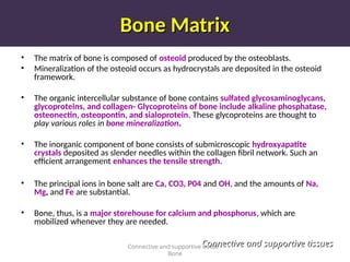 Bone Matrix
Bone Matrix
• The matrix of bone is composed of osteoid produced by the osteoblasts.
• Mineralization of the osteoid occurs as hydrocrystals are deposited in the osteoid
framework.
• The organic intercellular substance of bone contains sulfated glycosaminoglycans,
glycoproteins, and collagen- Glycoproteins of bone include alkaline phosphatase,
osteonectin, osteopontin, and sialoprotein. These glycoproteins are thought to
play various roles in bone mineralization.
• The inorganic component of bone consists of submicroscopic hydroxyapatite
crystals deposited as slender needles within the collagen fibril network. Such an
efficient arrangement enhances the tensile strength.
• The principal ions in bone salt are Ca, CO3, P04 and OH, and the amounts of Na,
Mg, and Fe are substantial.
• Bone, thus, is a major storehouse for calcium and phosphorus, which are
mobilized whenever they are needed.
Connective and supportive tissue -
Bone
Connective and supportive tissues
Connective and supportive tissues
 