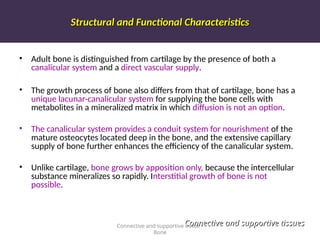 Structural and Functional Characteristics
Structural and Functional Characteristics
• Adult bone is distinguished from cartilage by the presence of both a
canalicular system and a direct vascular supply.
• The growth process of bone also differs from that of cartilage, bone has a
unique lacunar-canalicular system for supplying the bone cells with
metabolites in a mineralized matrix in which diffusion is not an option.
• The canalicular system provides a conduit system for nourishment of the
mature osteocytes located deep in the bone, and the extensive capillary
supply of bone further enhances the efficiency of the canalicular system.
• Unlike cartilage, bone grows by apposition only, because the intercellular
substance mineralizes so rapidly. Interstitial growth of bone is not
possible.
Connective and supportive tissue -
Bone
Connective and supportive tissues
Connective and supportive tissues
 