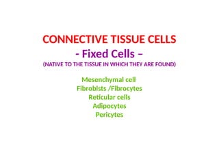 CONNECTIVE TISSUE CELLS
- Fixed Cells –
(NATIVE TO THE TISSUE IN WHICH THEY ARE FOUND)
Mesenchymal cell
Fibroblsts /Fibrocytes
Reticular cells
Adipocytes
Pericytes
 
