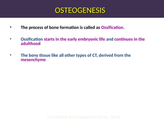 OSTEOGENESIS
OSTEOGENESIS
• The process of bone formation is called as Ossification.
• Ossification starts in the early embryonic life and continues in the
adulthood
• The bony tissue like all other types of CT, derived from the
mesenchyme
Connective and supportive tissue - Bone
 