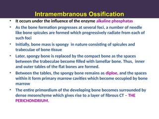 • It occurs under the influence of the enzyme alkaline phosphatas
• As the bone formation progresses at several foci, a number of needle
like bone spicules are formed which progressively radiate from each of
such foci
• Initially, bone mass is spongy in nature consisting of spicules and
trabeculae of bone tissue
• Later, spongy bone is replaced by the compact bone as the spaces
between the trabeculae become filled with lamellar bone. Thus, inner
and outer tables of the flat bones are formed.
• Between the tables, the spongy bone remains as diploe, and the spaces
within it form primary marrow cavities which become occupied by bone
marrow
• The entire primordium of the developing bone becomes surrounded by
dense mesenchyme which gives rise to a layer of fibrous CT – THE
PERICHONDRIUM.
Conti….
Intramembranous Ossification
 