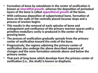 • Formation of bone by osteoblasts in the center of ossification is
known as interstitial growth, whereas the deposition of periosteal
layers of the bone is called appositional growth of the bone.
• With cotinuous deposition of subperiosteal bone, formation of
bone on the walls of the centrally placed lacunae stops and a
process of erosion begins.
• This results in the removal of early spicules of bone and
enlargement and confluence of the primary marrow spaces until a
primitive medullary cavity is produced in the center of the
growing bone.
• The process of ossification gradually spreads from the primary
center of ossification toward the ends of the bone.
• Progressively, the regions adjoining the primary center of
ossification also undergo the above described sequence of
changes and the none formation extends above and below the
primary center.
• That part of long bone which develops from the primary center of
ossification (i.e., the shaft) is known as diaphysis.
Connective and supportive tissue - Bone
 